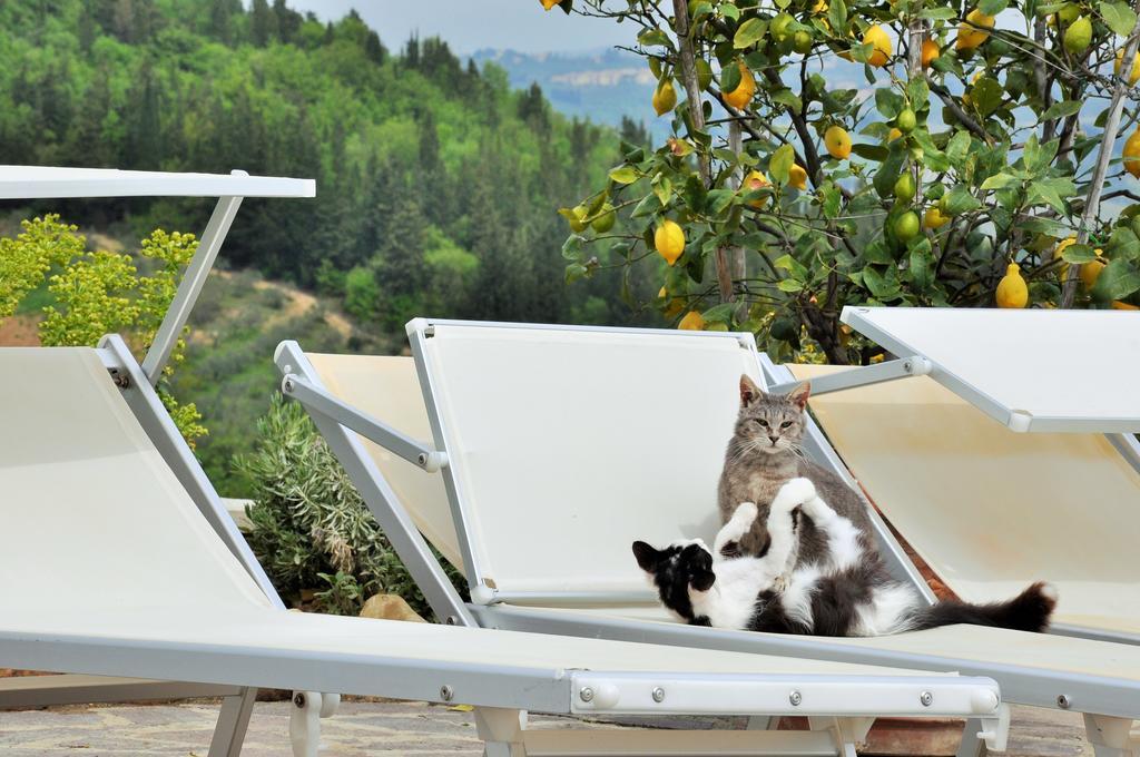 Agriturismo La Villa Romita Tavarnelle Val di Pesa エクステリア 写真