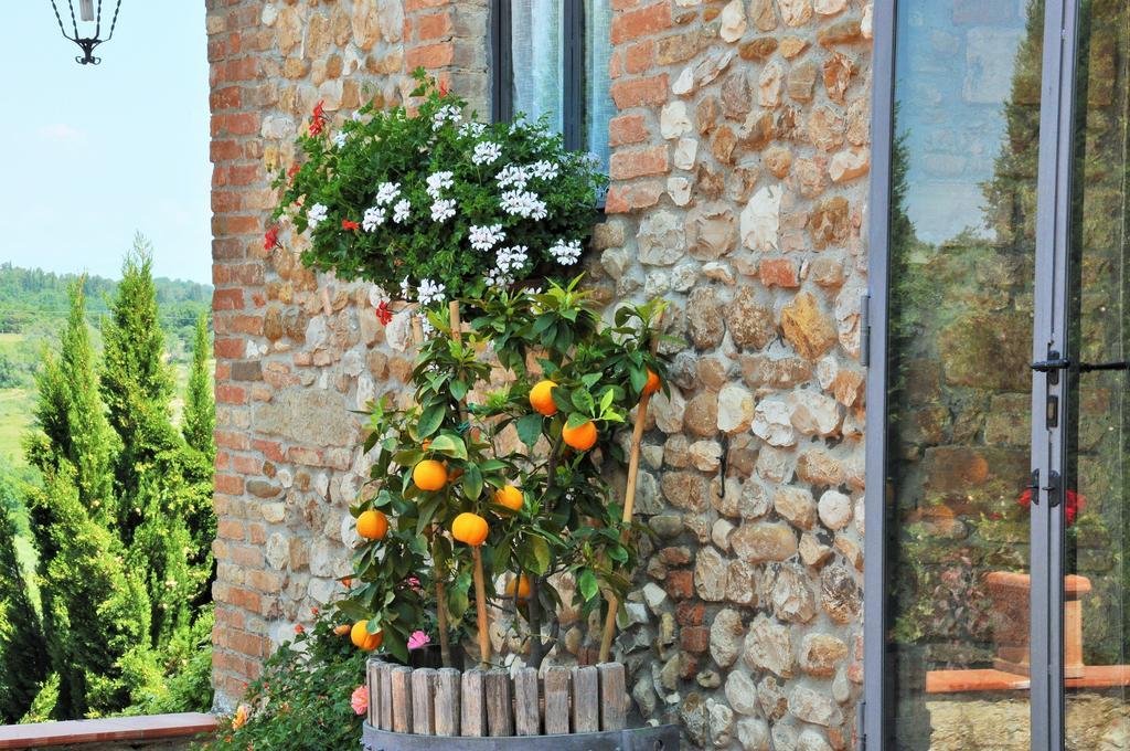 Agriturismo La Villa Romita Tavarnelle Val di Pesa エクステリア 写真