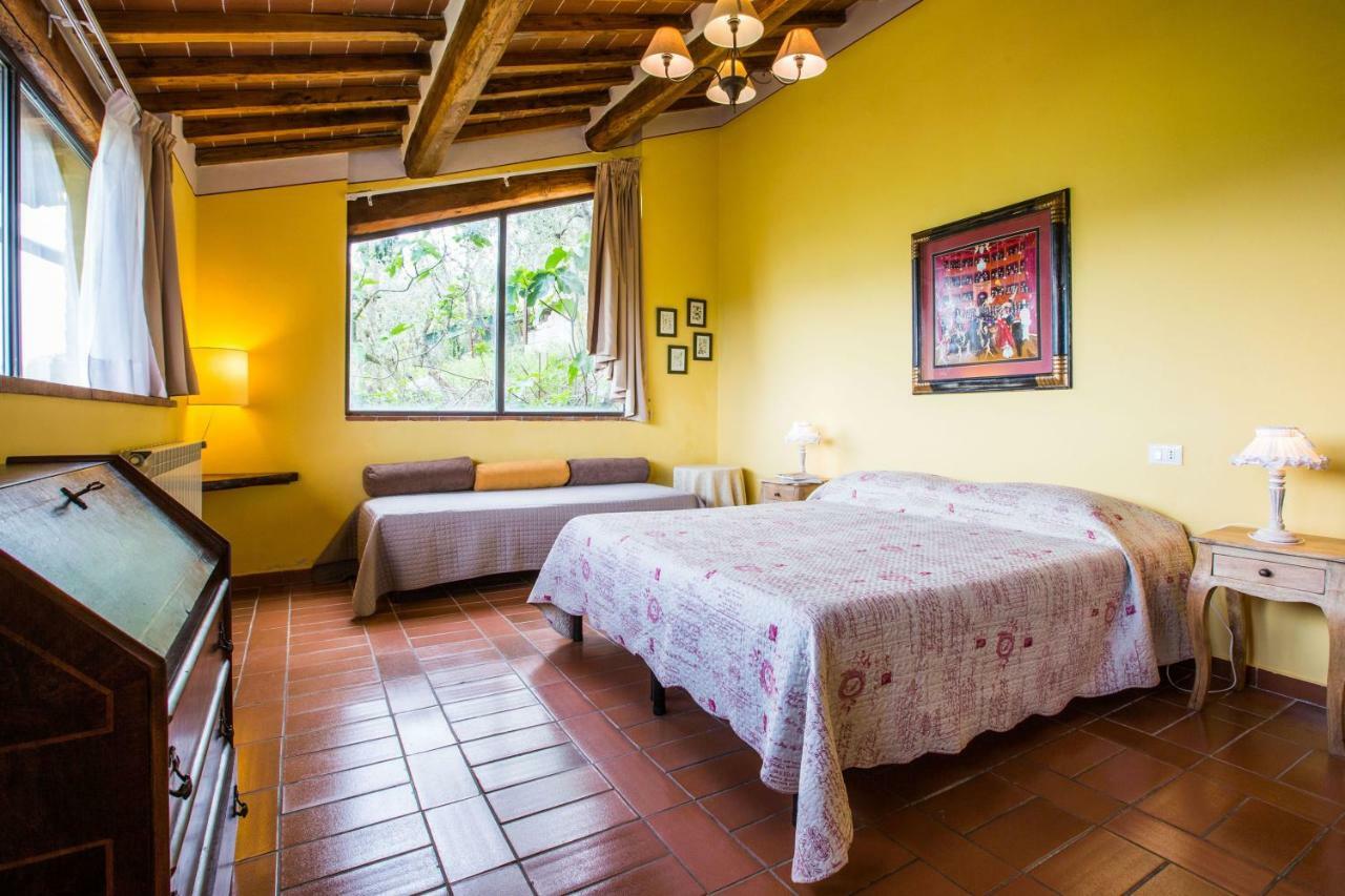 Agriturismo La Villa Romita Tavarnelle Val di Pesa エクステリア 写真
