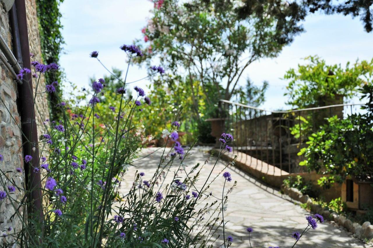 Agriturismo La Villa Romita Tavarnelle Val di Pesa エクステリア 写真